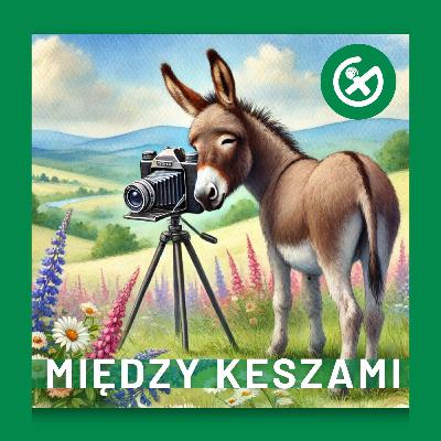 Osiołek zdradza tajniki zdjęć w geocachingu!