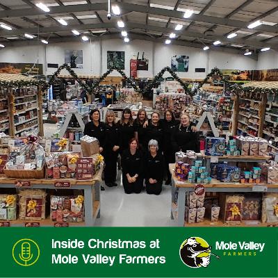 Inside Christmas at Mole Valley Farmers