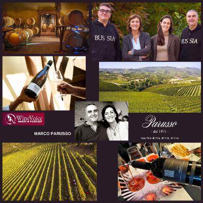 Benvenuti in Cantina: MARCO PARUSSO, uno stile di Vita, di Vite, di Vino! (Piemonte)