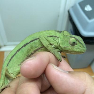 駐屯地で寮生活する人は外泊できるのか? 駐屯地で寮生活する人は外泊できるのか?