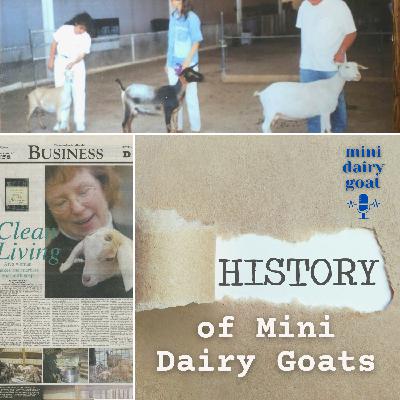 History of Mini Dairy Goats History of Mini Dairy Goats