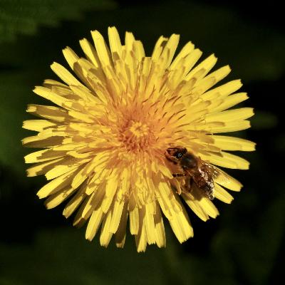 Trailer: Masterclass Trailer: Masterclass