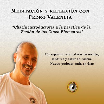 Meditación y reflexión con Pedro Valencia: charla introductoria a la práctica de la Fusión de los Cinco Elementos