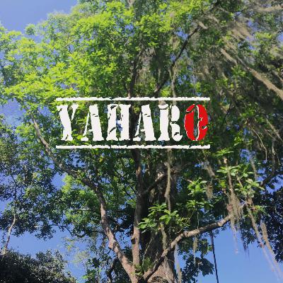 Proyecto Yaharo - Capitulo 3 Rio Ancho