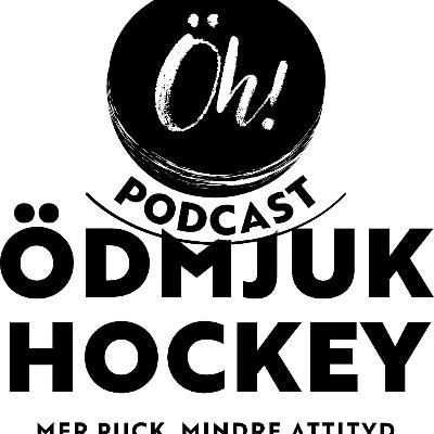 4. Ödmjuk Hockey