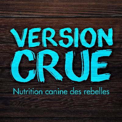 La gamelle, la planète et la culpabilité : ce débat qui nous met en tension La gamelle, la planète et la culpabilité : ce débat qui nous met en tension