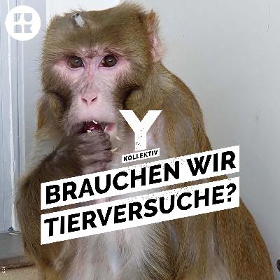Implantate im Kopf – Wofür Affen in Deutschland herhalten müssen