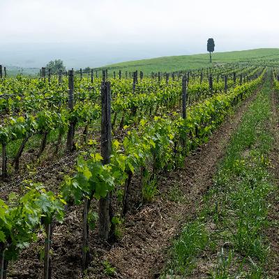 Morir sin estar preparado