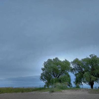 Ep 7. Two Trees