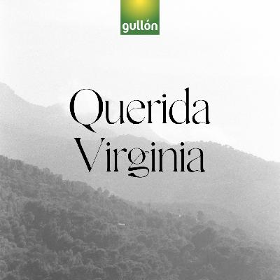 Querida Virginia Querida Virginia