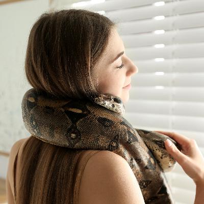 EP37 :: Adquirindo um pet silvestre legal