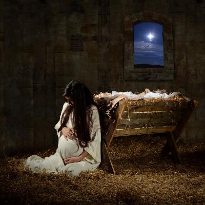 Virgin Birth breakdown!
