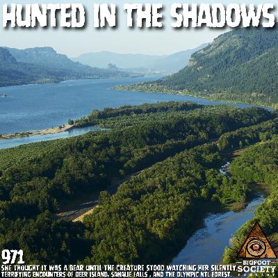 Forager Encounters Giant Squatting Figure in the Hamma Hamma River | Washington Forager Encounters Giant Squatting Figure in the Hamma Hamma River | Washington