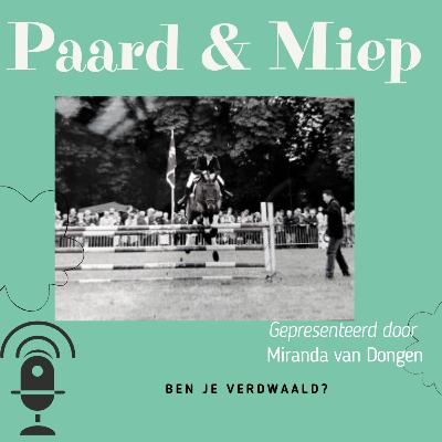 Ben je verdwaald?