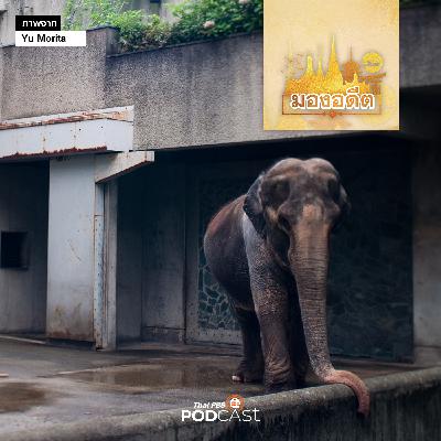 มองอดีต EP. 83: ช้างในความสัมพันธ์ระหว่างประเทศหลัง พ.ศ. 2475