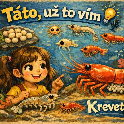 Krevety