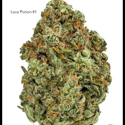 EP # 41 Love position #1