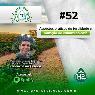Aspectos práticos da fertilidade e nutrição da cultura do café