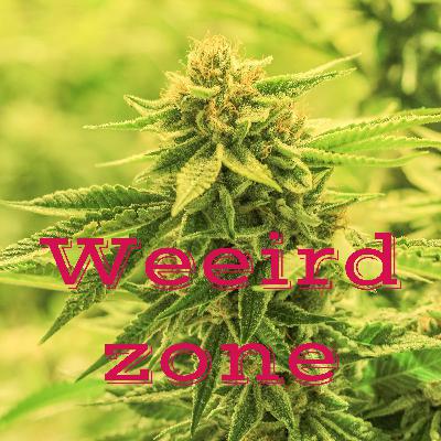 Same sex love.. good or bad?!