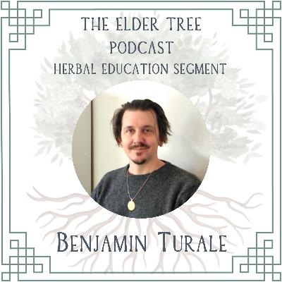 168. Alchemy in the Temple of Mercury: Benjamin Turale on Herbal Education- Episode Re-release