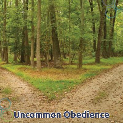 Uncommon Obedience