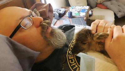 Episode 298 - Self-Isolating Lambs