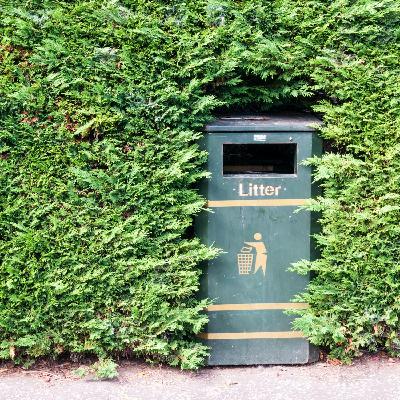 Is your town good at removing litter?