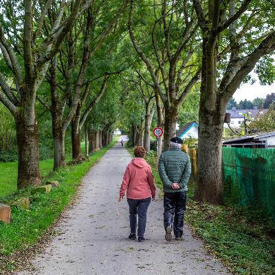 Reform-Vorschläge - Grünen rütteln an der Rente mit 63