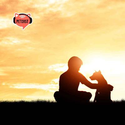 Legyél te is ideiglenes gazdi!