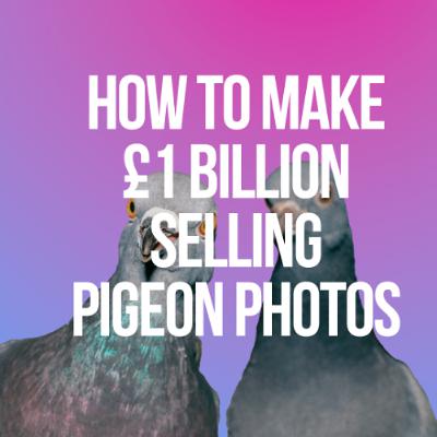 Hardcore Pigeons - Episode 72 Hardcore Pigeons - Episode 72