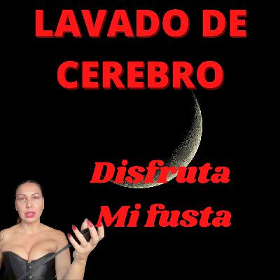 Lavado de cerebro, Disfruta mi fusta, todo erecto