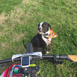 RHR MTB post Race report