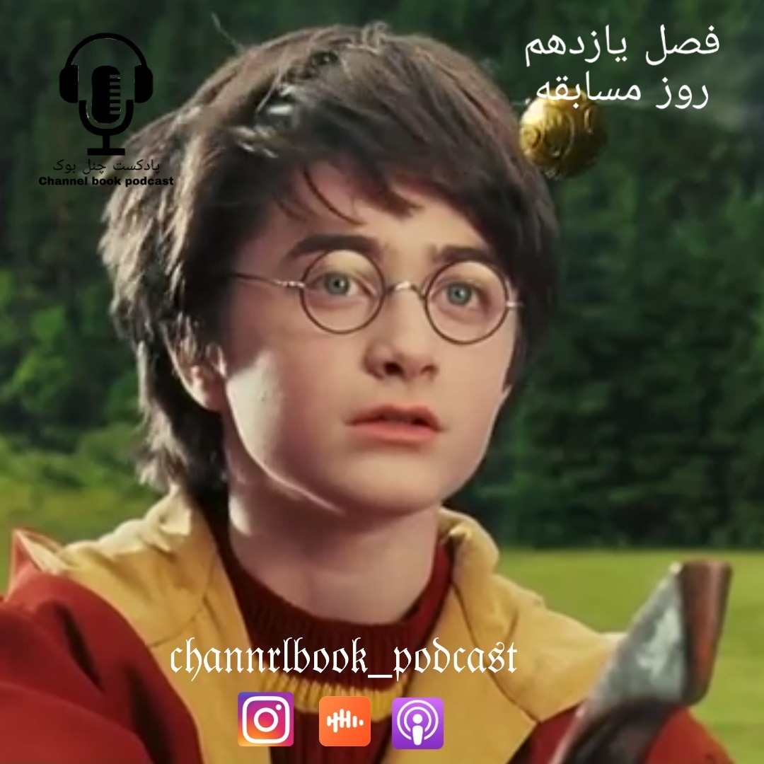هری پاتر و سنگ جادو فصل یازدهم