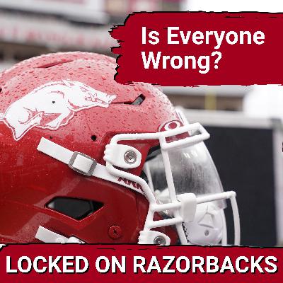 SHOWDOWN: Can Razorbacks Football DELIVER a Game-Changing Hire or is Panic Setting In? SHOWDOWN: Can Razorbacks Football DELIVER a Game-Changing Hire or is Panic Setting In?