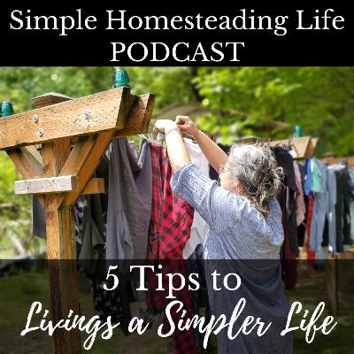 Episode 14 | 5 Tips to Living a Simpler Life