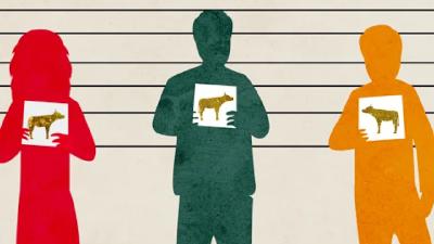 La recompensa de una Mitzvá La recompensa de una Mitzvá