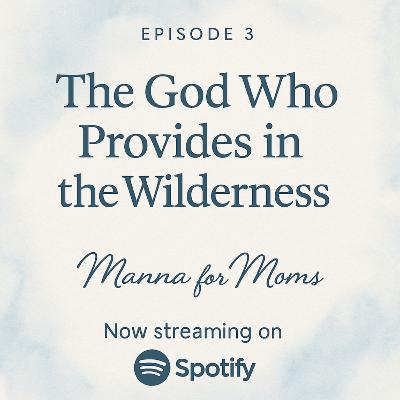 The God Who Provides in the Wilderness