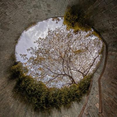 The Edge Defines the Center