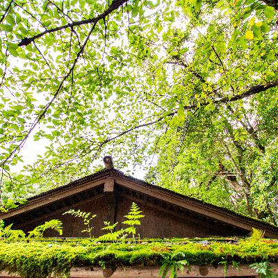 【12分鐘談古今】來下鴨神社認識鴨長明