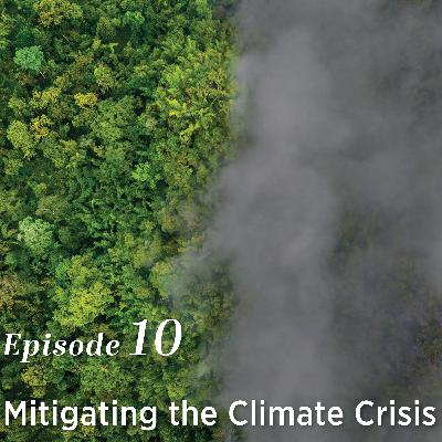 Mitigating the Climate Crisis