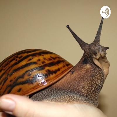 I believe in Honesty