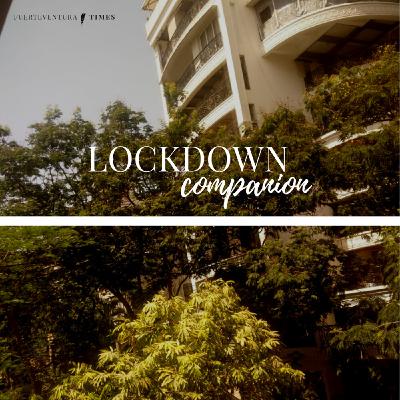 09 - Lockdown Companion in India