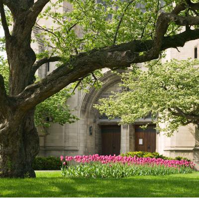 April 25, 2021 - Fourth Sunday of Easter: Green Pastures