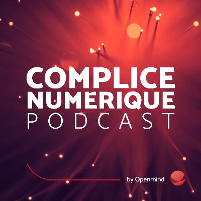 13 - L'Intelligence Artificielle à un Tournant Historique (hypercroissance)