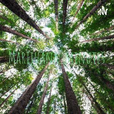 Long live Sky G
The GustoGang interview