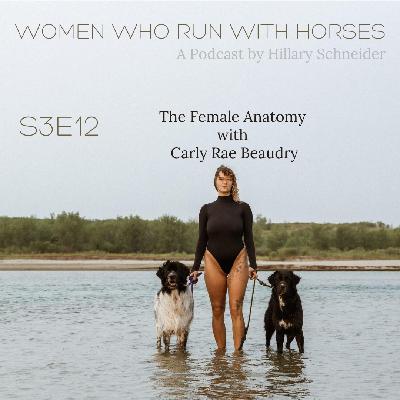 The Female Anatomy with Carly Rae Beaudry The Female Anatomy with Carly Rae Beaudry