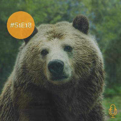 S1E18: Der Bär