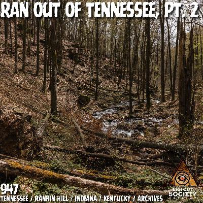 Bigfoot Ran Us Out of Tennessee Pt. 2: The Mammoth Cave Encounters | Archives
