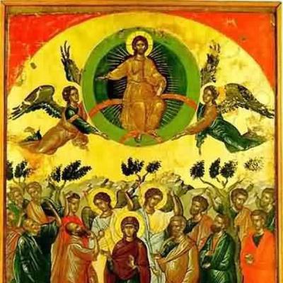 أصعدت باكورتي إلى السماء