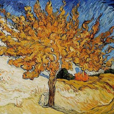 A Call to Come and Die